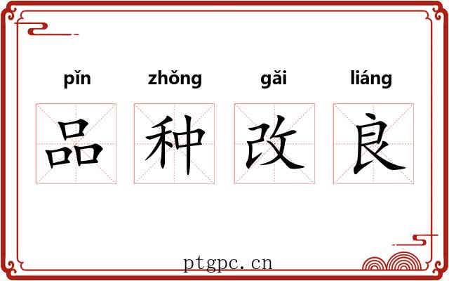 品种改良 品种改良