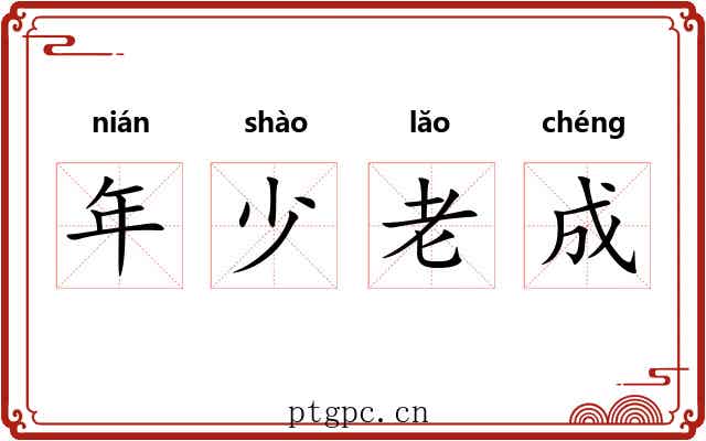 年少老成