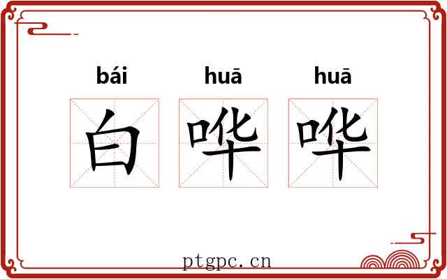 白哗哗 白哗哗