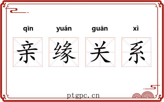亲缘关系