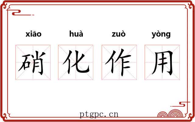 硝化作用 硝化作用