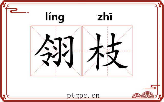 翎枝