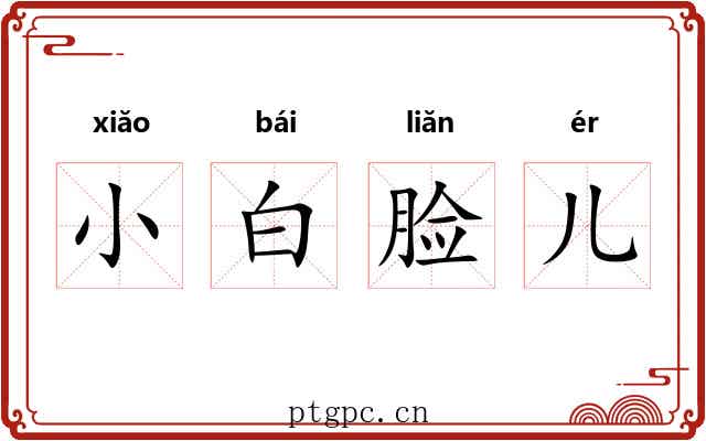 小白脸儿 小白脸儿
