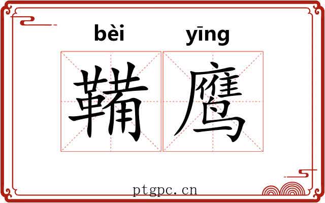 鞴鹰
