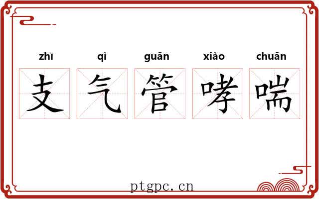 支气管哮喘 支气管哮喘