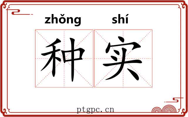 种实 种实