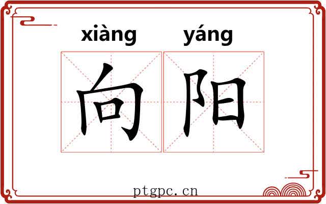 向阳 向阳