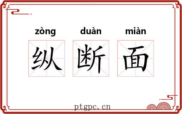 纵断面 纵断面