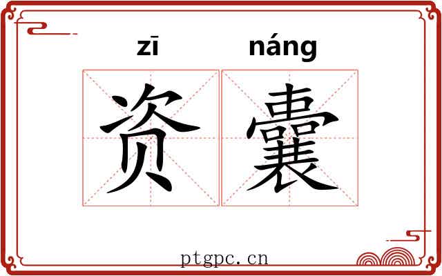 资囊