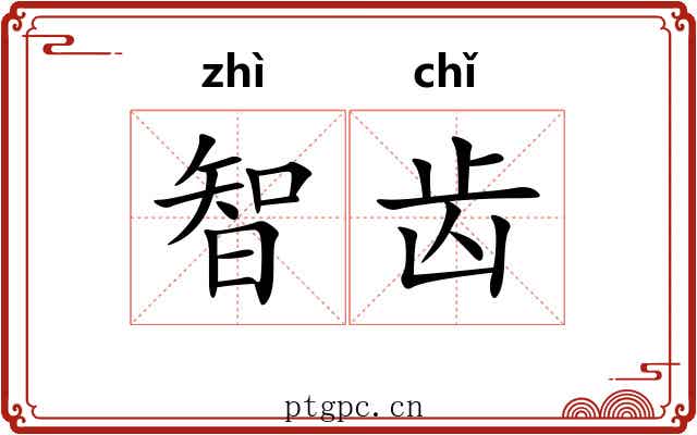 智齿 智齿