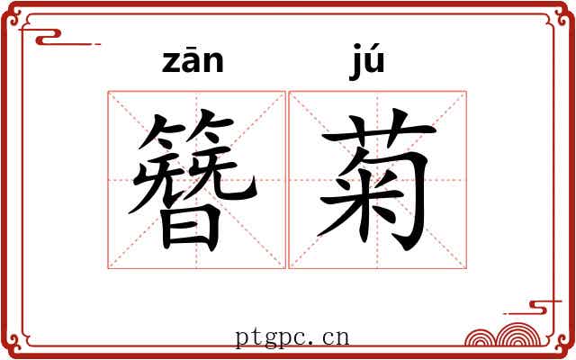 簪菊