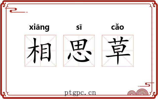 相思草 相思草