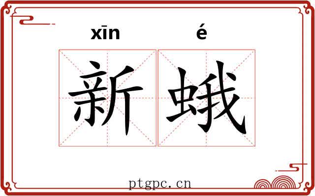 新蛾 新蛾