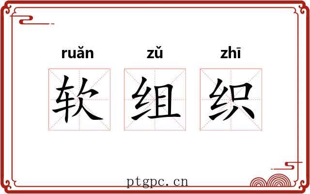 软组织 软组织