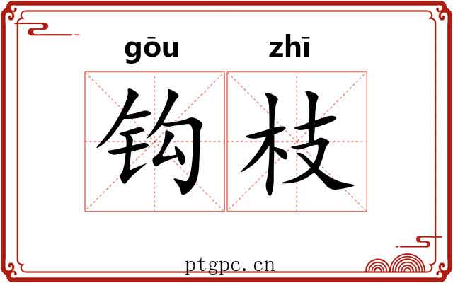 钩枝 钩枝
