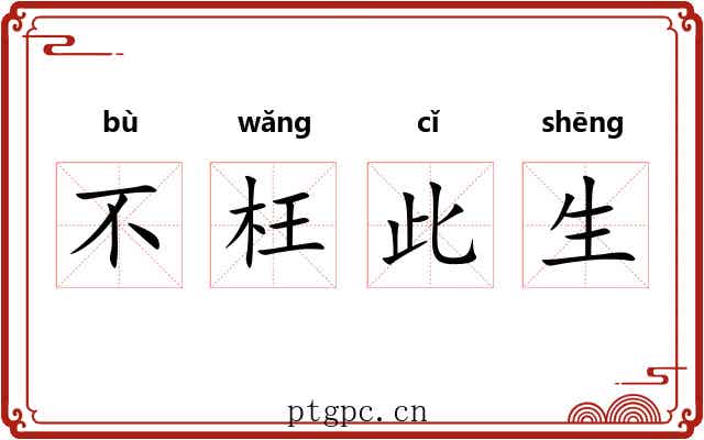 不枉此生 不枉此生