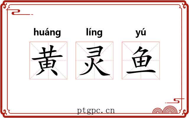 黄灵鱼 黄灵鱼