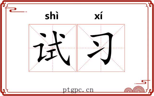 试习