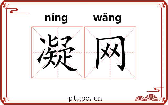 凝网