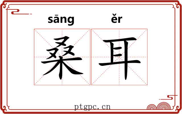桑耳 桑耳