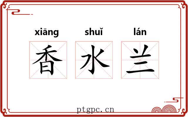 香水兰 香水兰