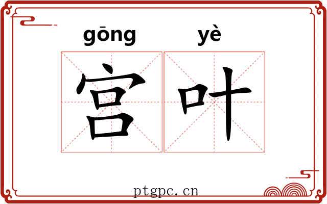 宫叶 宫叶