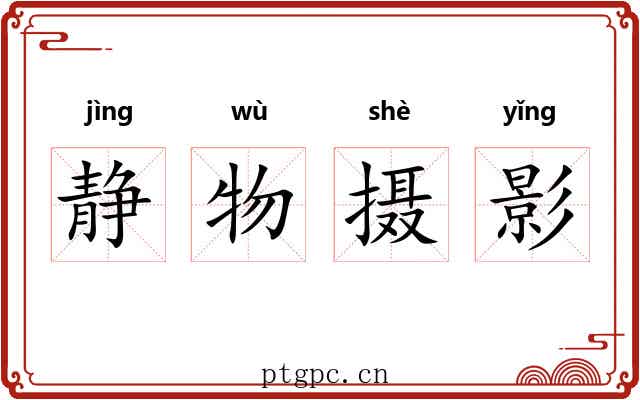 静物摄影 静物摄影