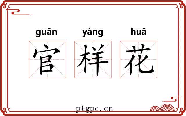 官样花