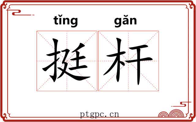 挺杆