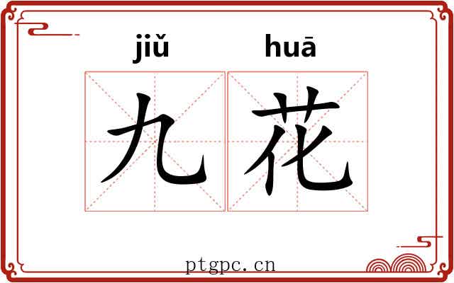 九花 九花