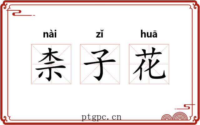 柰子花 柰子花