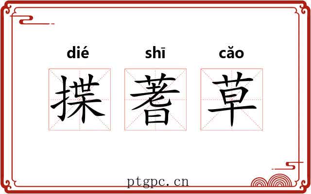 揲蓍草