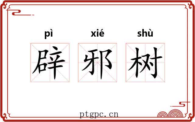 辟邪树 辟邪树