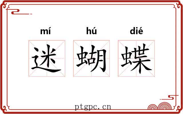 迷蝴蝶 迷蝴蝶