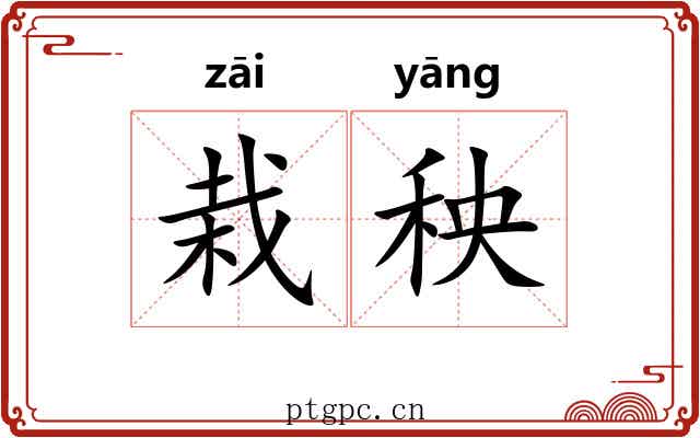 栽秧