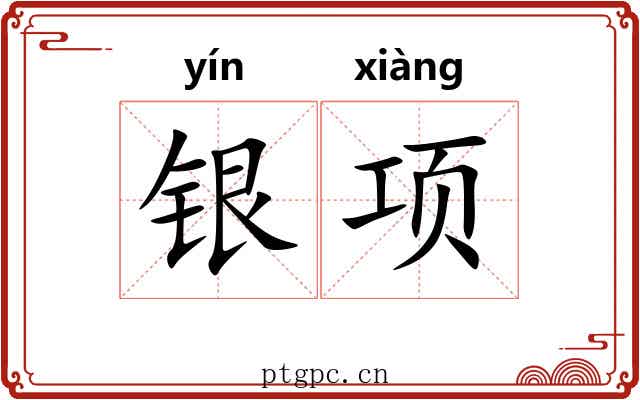 银项 银项