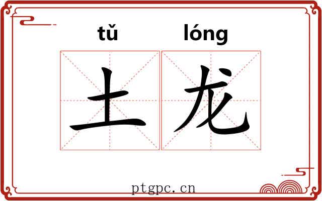 土龙 土龙