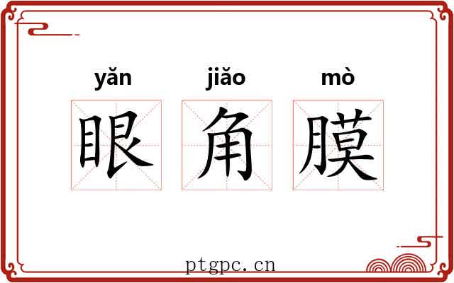 眼角膜 眼角膜