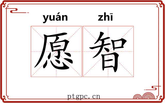 愿智