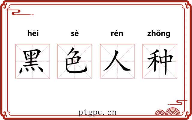 黑色人种 黑色人种