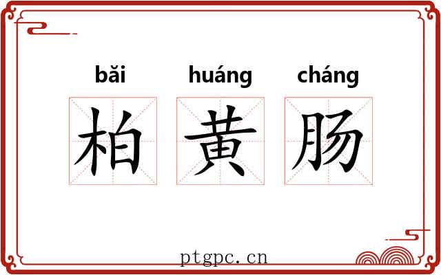 柏黄肠 柏黄肠