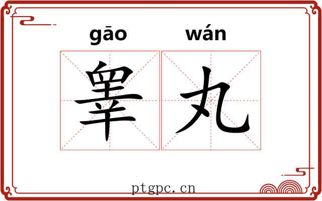 睾丸