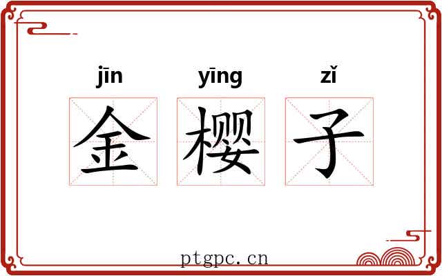 金樱子 金樱子