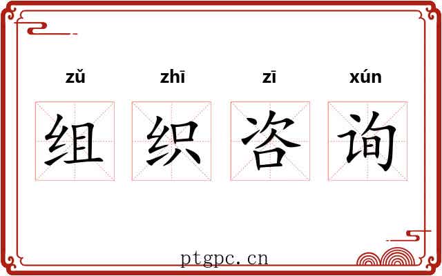 组织咨询 组织咨询