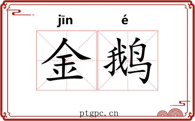 金鹅 金鹅