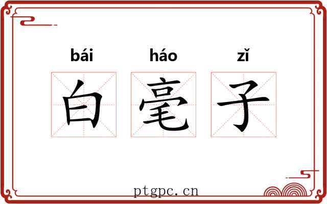 白毫子