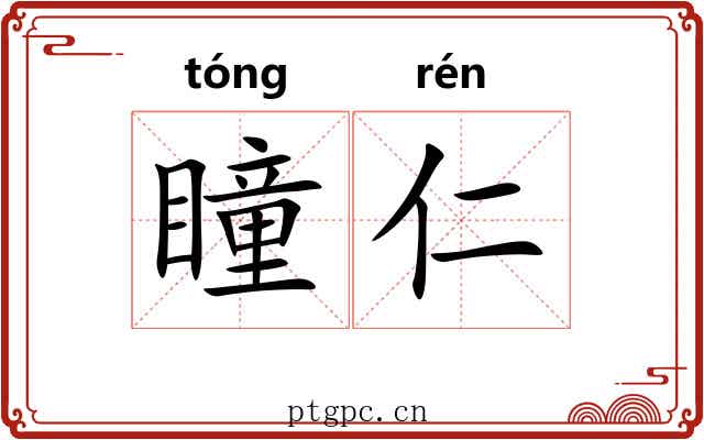 瞳仁