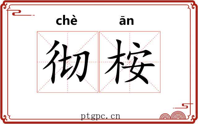 彻桉
