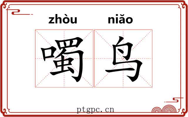 噣鸟