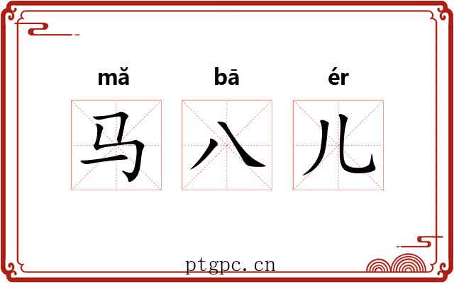 马八儿